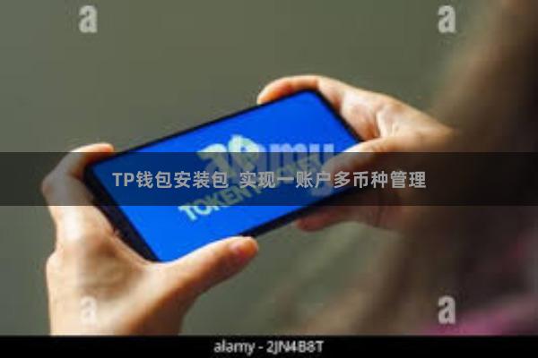 TP钱包安装包 实现一账户多币种管理