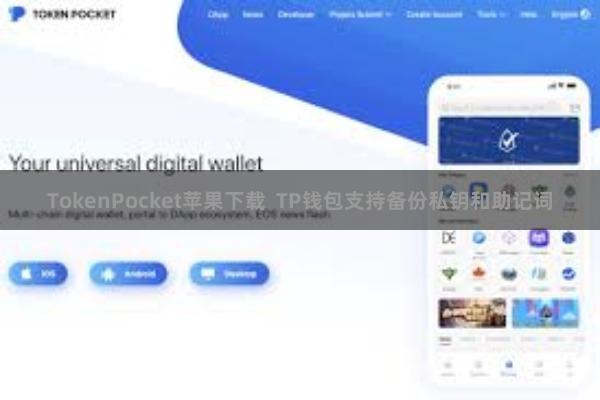 TokenPocket苹果下载  TP钱包支持备份私钥和助记词